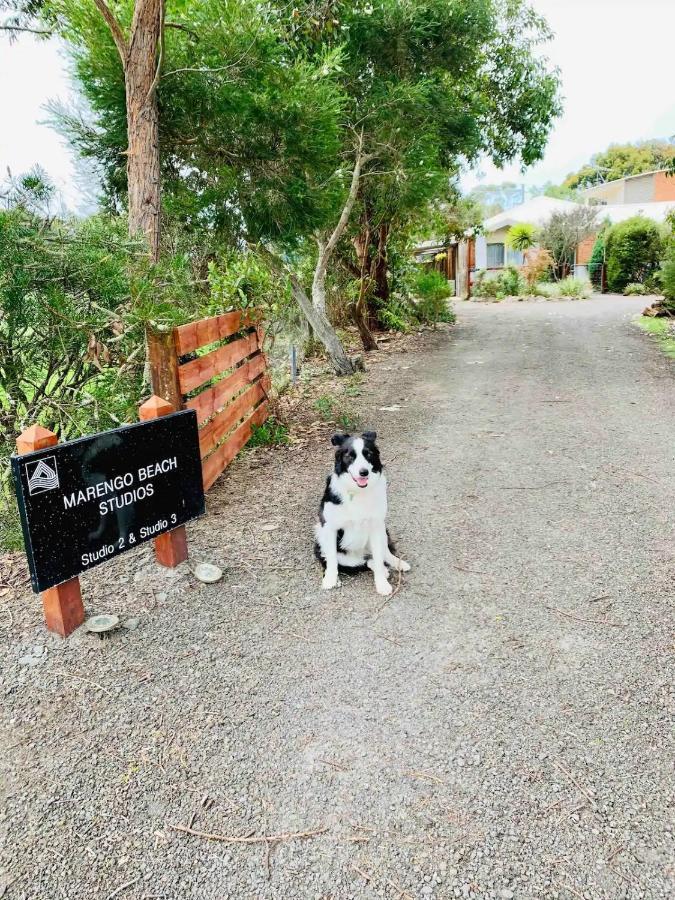 Marengo Beach Studios- Pet Friendly Exterior foto